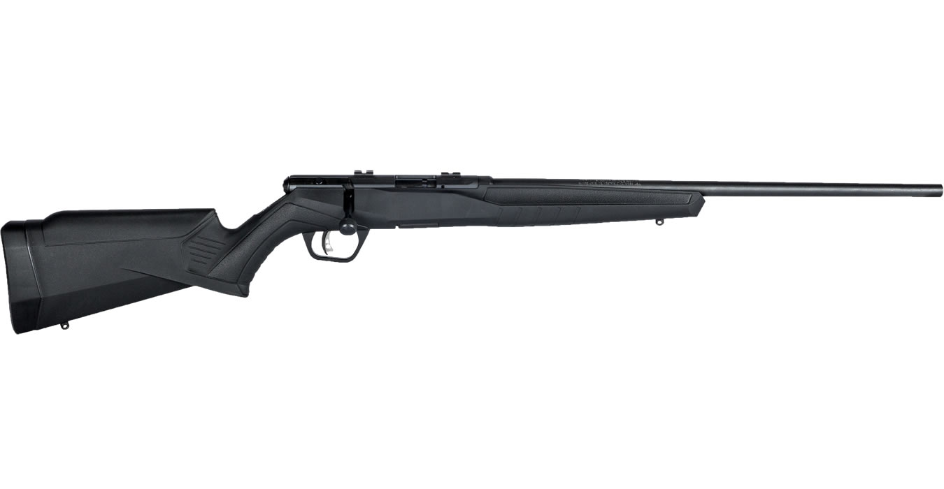 B17 F 17 HMR Bolt-Action Rifle