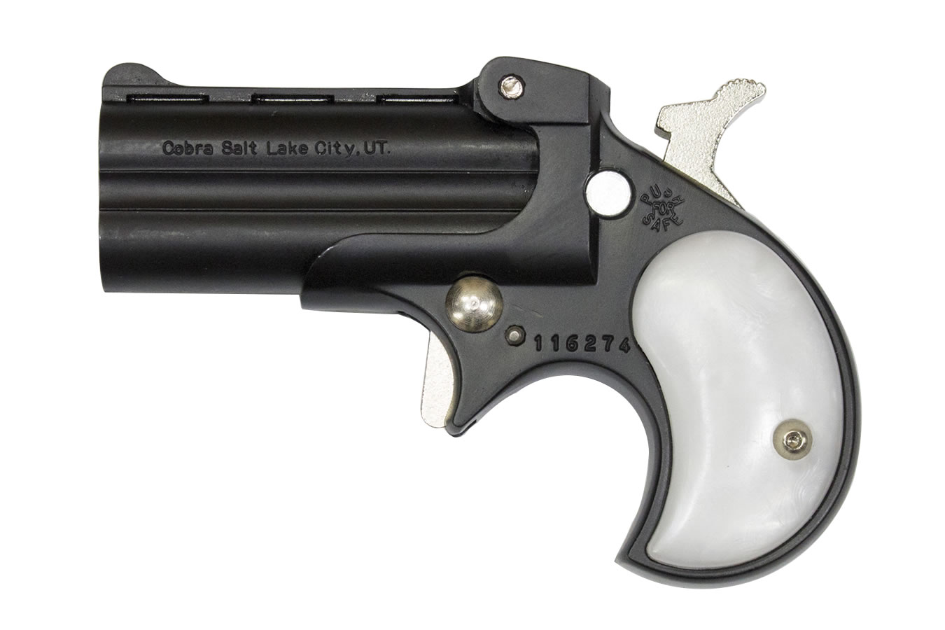 C22 22 Mag Derringer with Black Finish